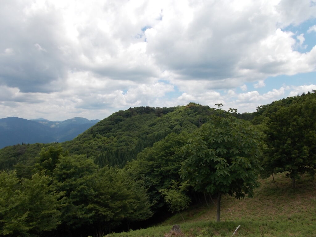 11:01 展望ピーク手前から見えた深山。