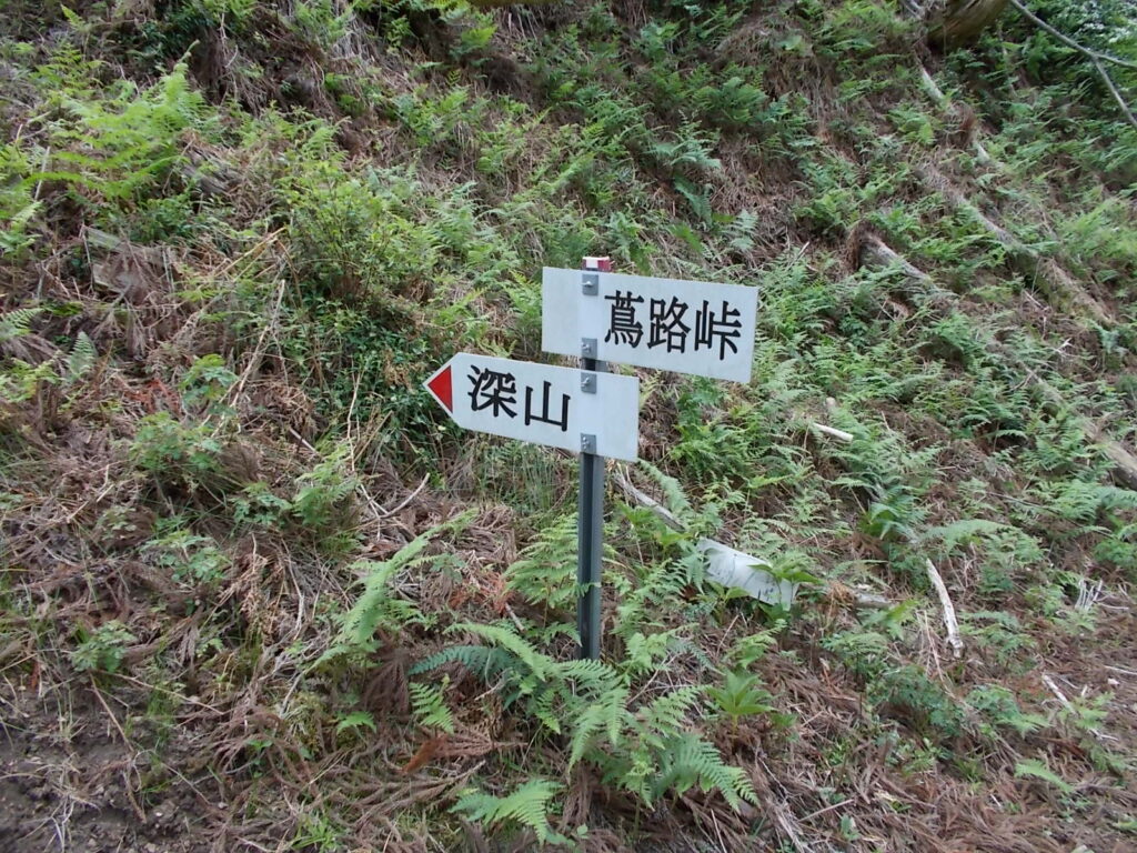 11:31 蔦路峠