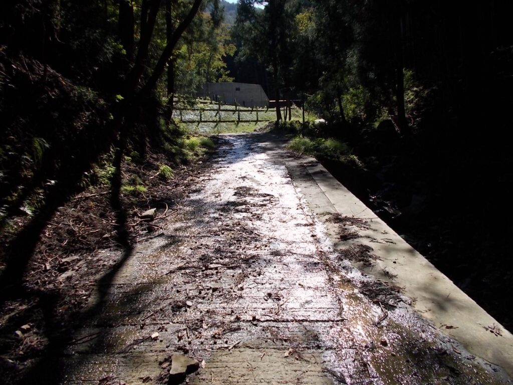 10：19　登り始めてすぐの林道の様子。舗装されています。