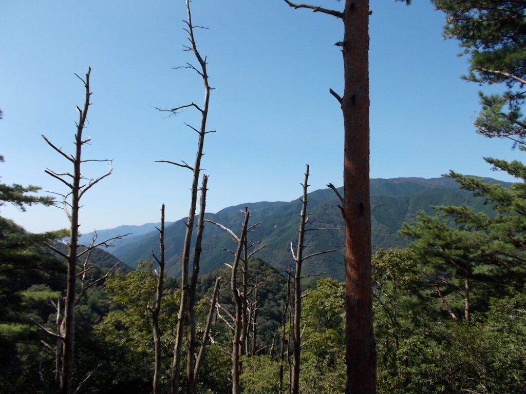 10：42　アンテナからの景色です。途中あまり景色を楽しむ場所はありません。