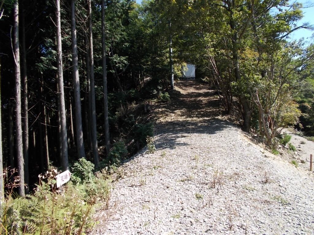 10：55　明るい林道歩きは続きます。