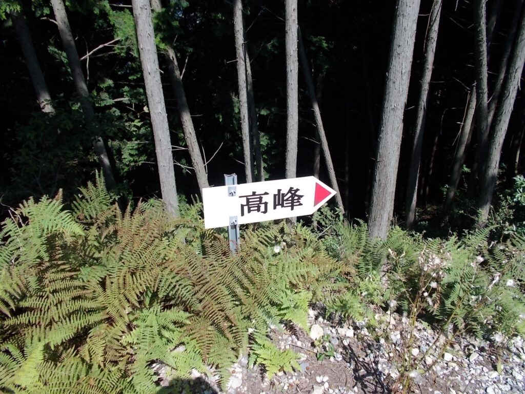 10：55　高峰への案内板。所々案内板があります。