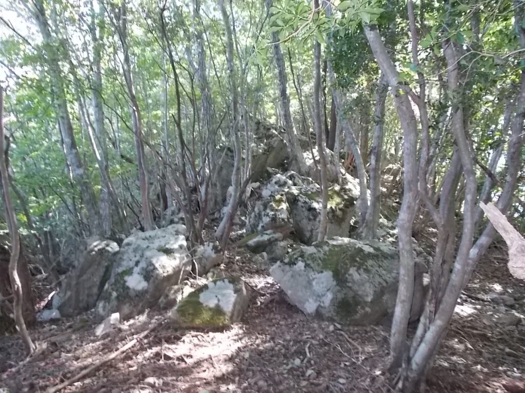 11：17　かなり登ると岩場のピークに着きます。