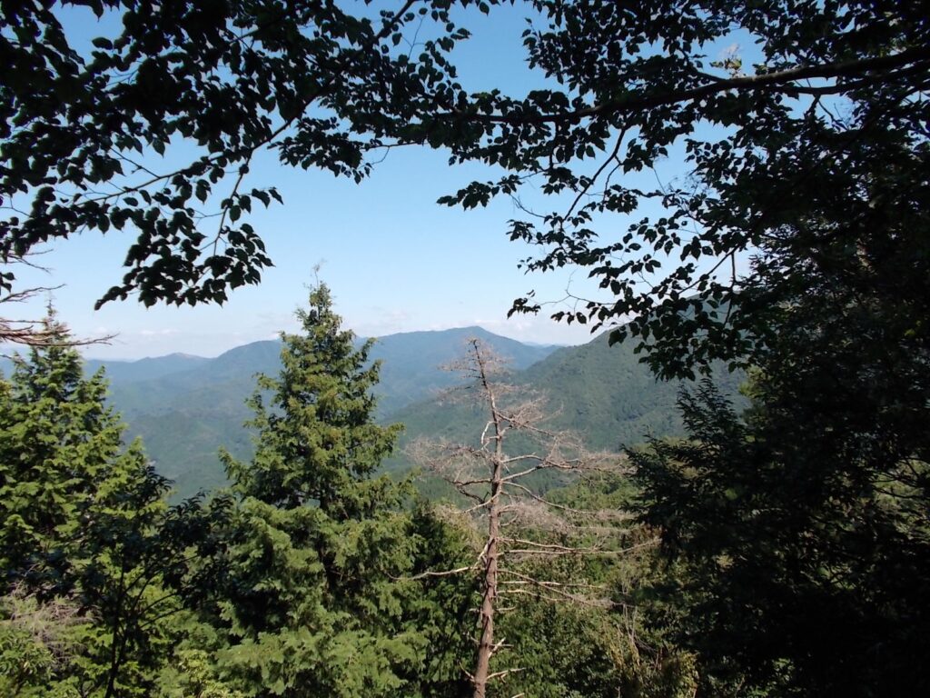 11：54　ここから見える景色です。