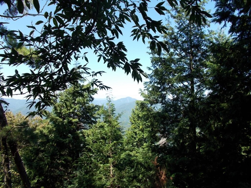 11：57　少し下りた地点からの景色。藤無山かしら？