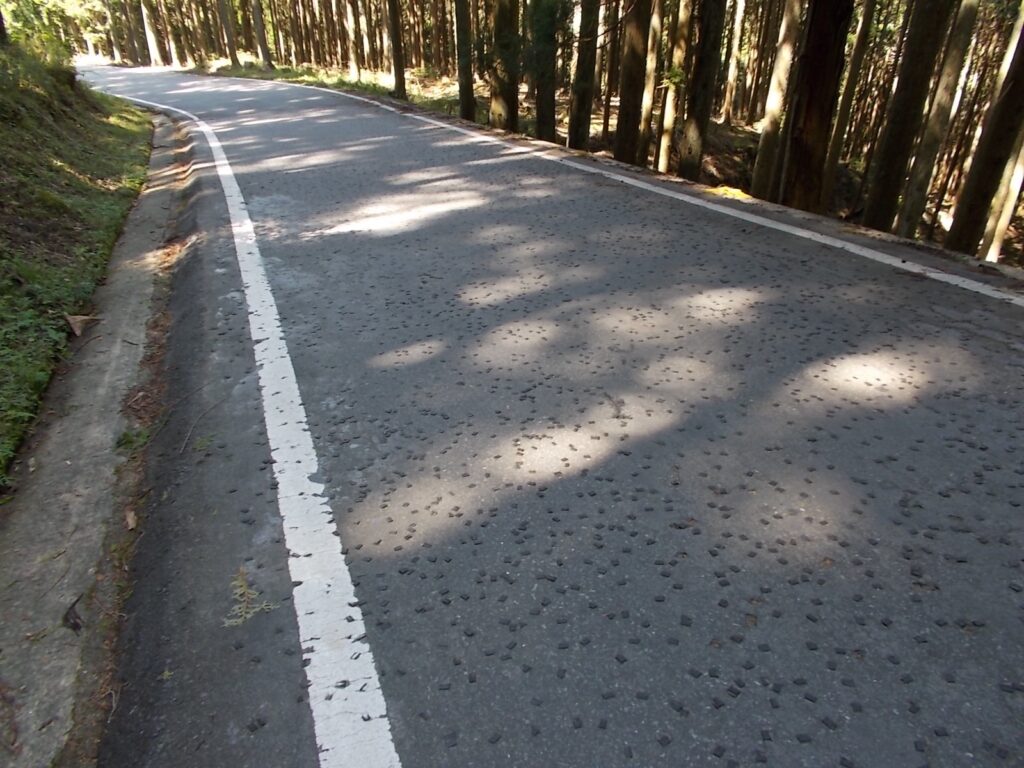 12：28　この坂には滑り止めのためか、アスファルトにゴム（？）のチップが埋め込んであります。