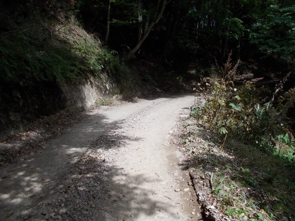 10：45　林道の様子。かなり整備されていて歩きやすいです。車でも鳥取側の展望地までは行けますが、途中工事用のダンプに出会うとかわす場所がありませんので、止めた方がいいでしょう。