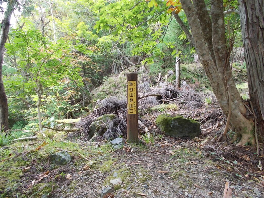 11：06　戸倉峠を越え少し行くと、登山口の標柱があります。ここからスタートです。