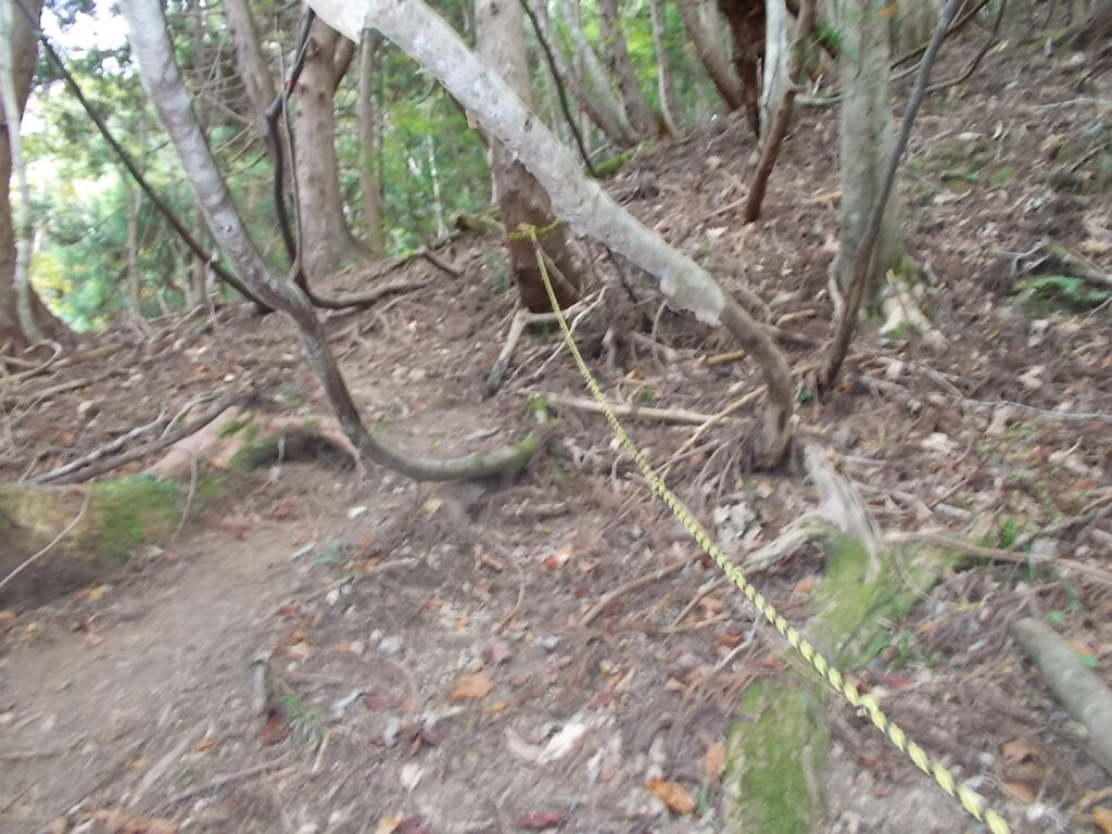 11：08　いきなりロープがある急登が2カ所続きます。
