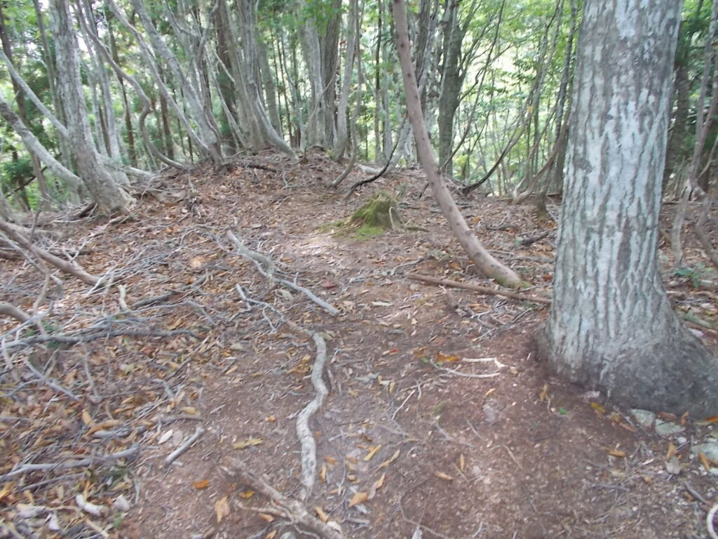 11：12　最初のピーク。これからいくつかピークが現れます。