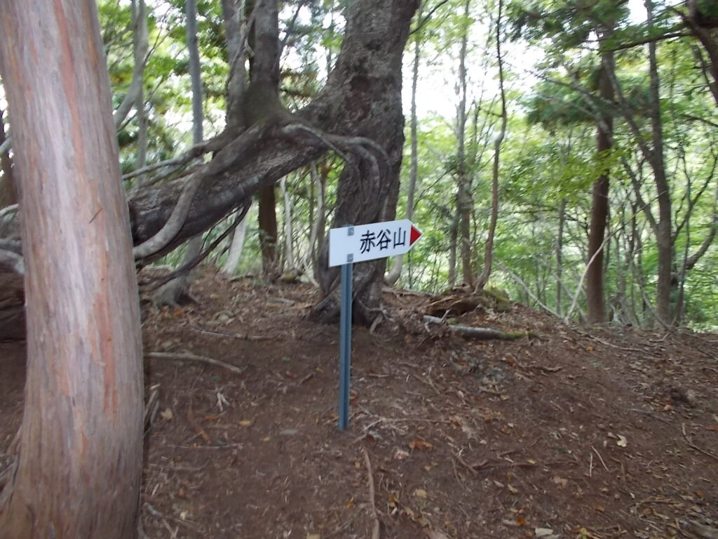 11：18　赤谷山への案内板。途中いくつか案内板が出てきます。