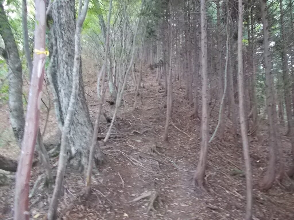 11：21　次の急登。とにかく登りは急です。