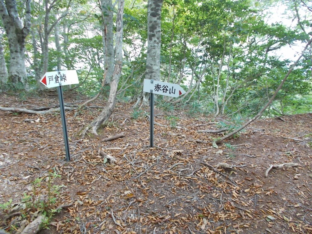 11：31　次のピークの案内板。