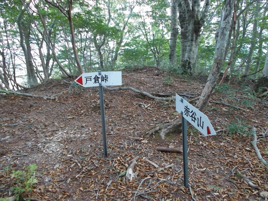 12：15　戸倉峠への案内板。