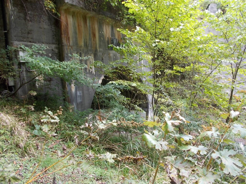 12：52　林道途中にある、旧トンネル。