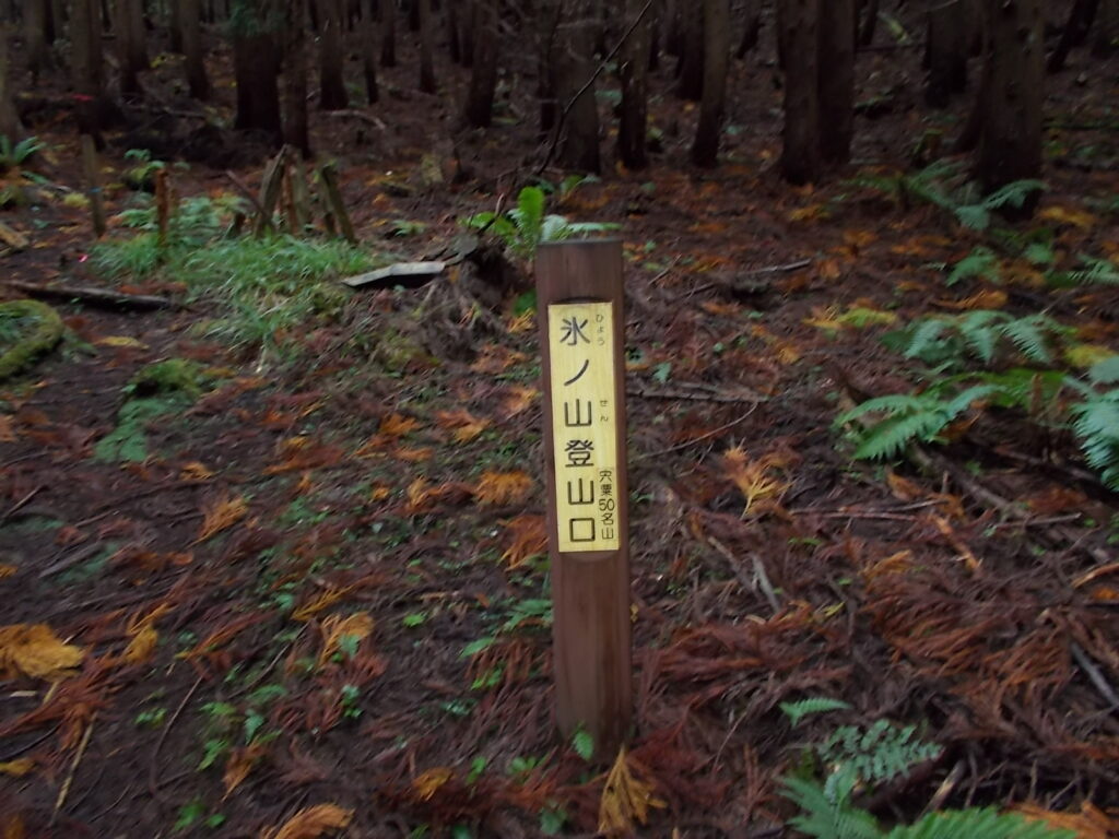 11：09　坂の谷登山口の標柱。ここから登り始めます。