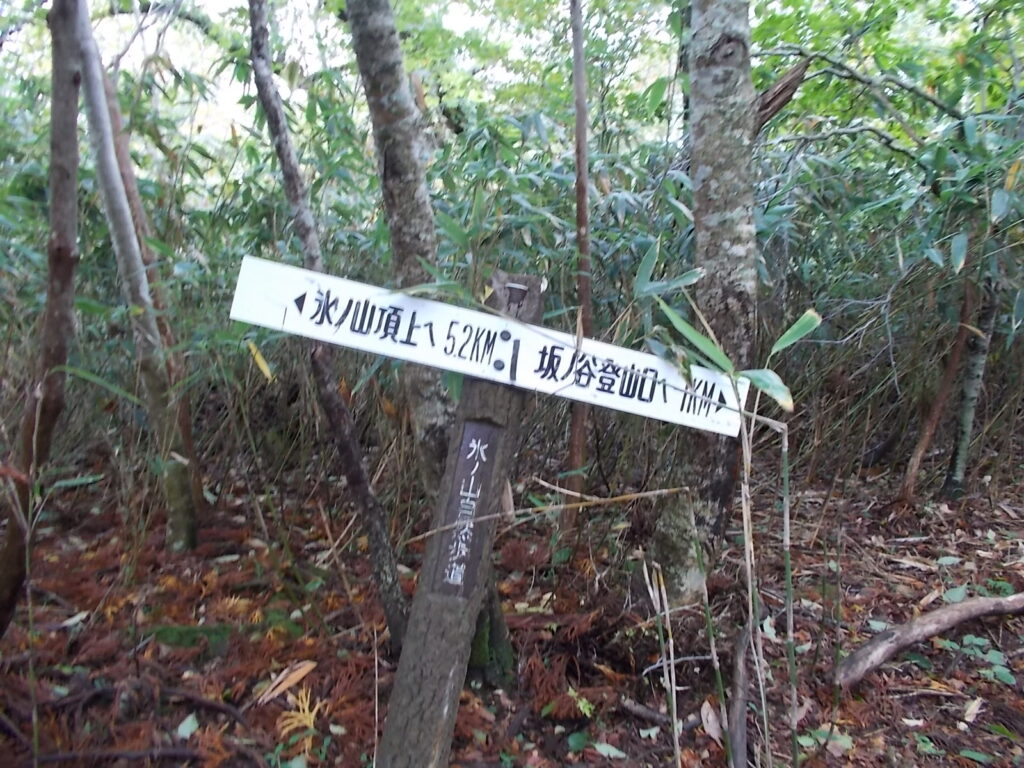11：22　氷ノ山山頂まであと5.2Ｋｍ。1Ｋｍ歩いてきました。