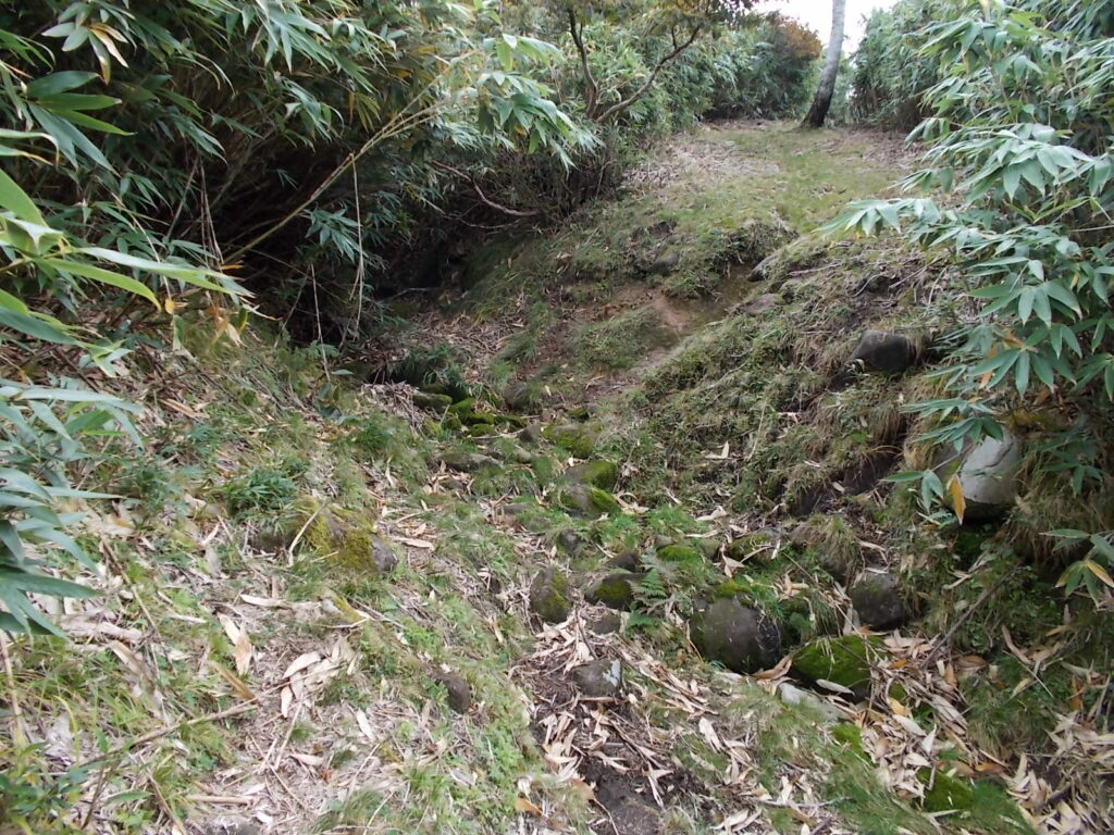 11：49　同じ景色が続いた後、ちょっと変わって、涸れた沢を渡ります。