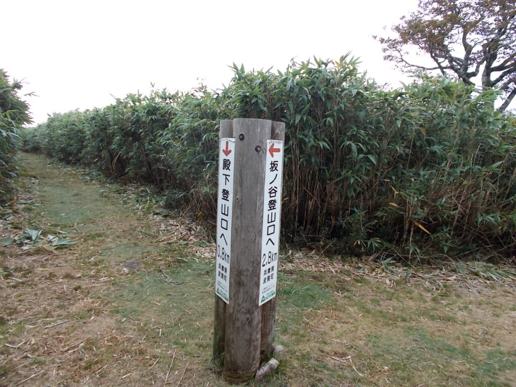 11：50　沢を登り切ると、すぐにコース分岐に着きます。