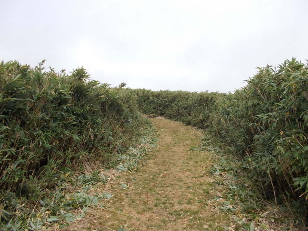 11：58　さらに歩きやすくなった登山道。ホントに空中回廊です。