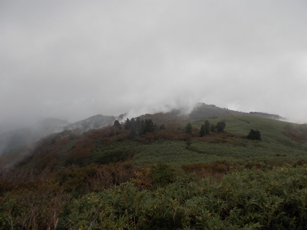 11：59　氷ノ山山頂は雲の中です。