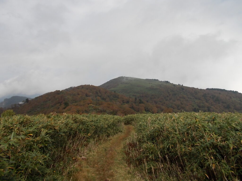 氷ノ山（三の丸）＋氷ノ山