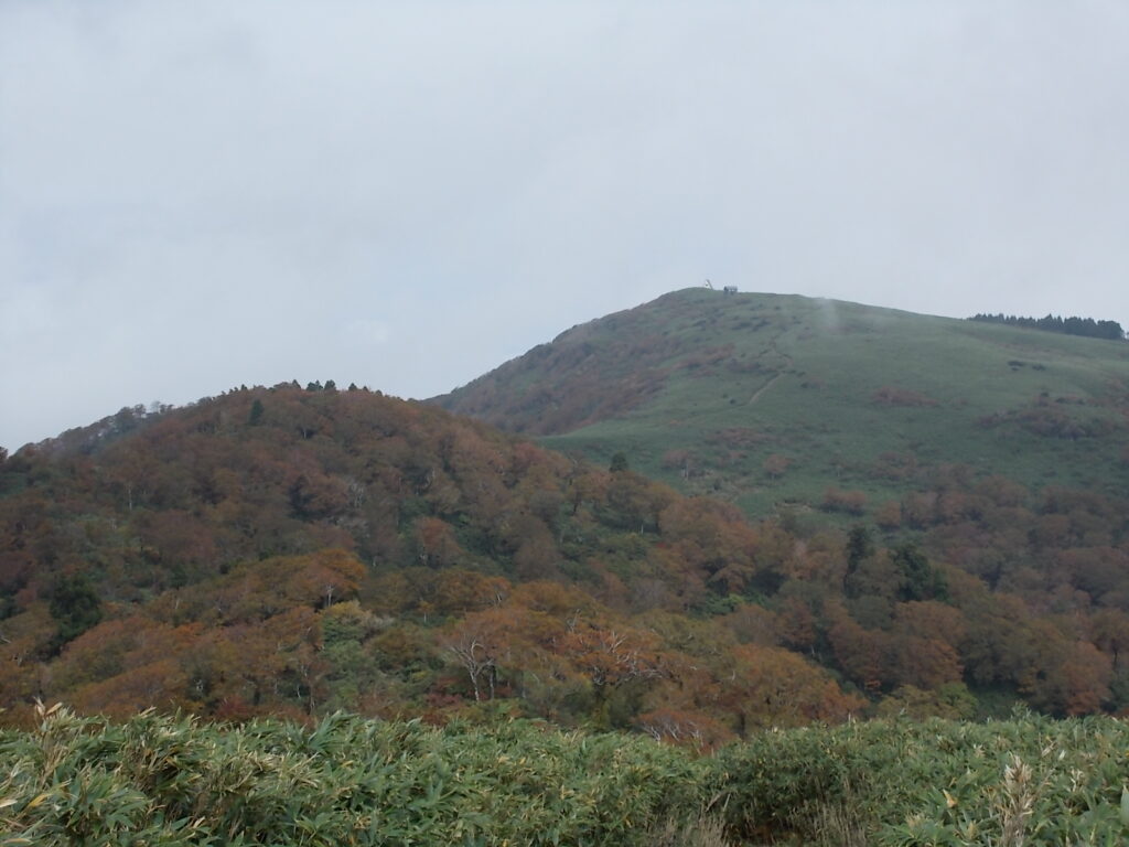 12：07　手前の紅葉が見事です。