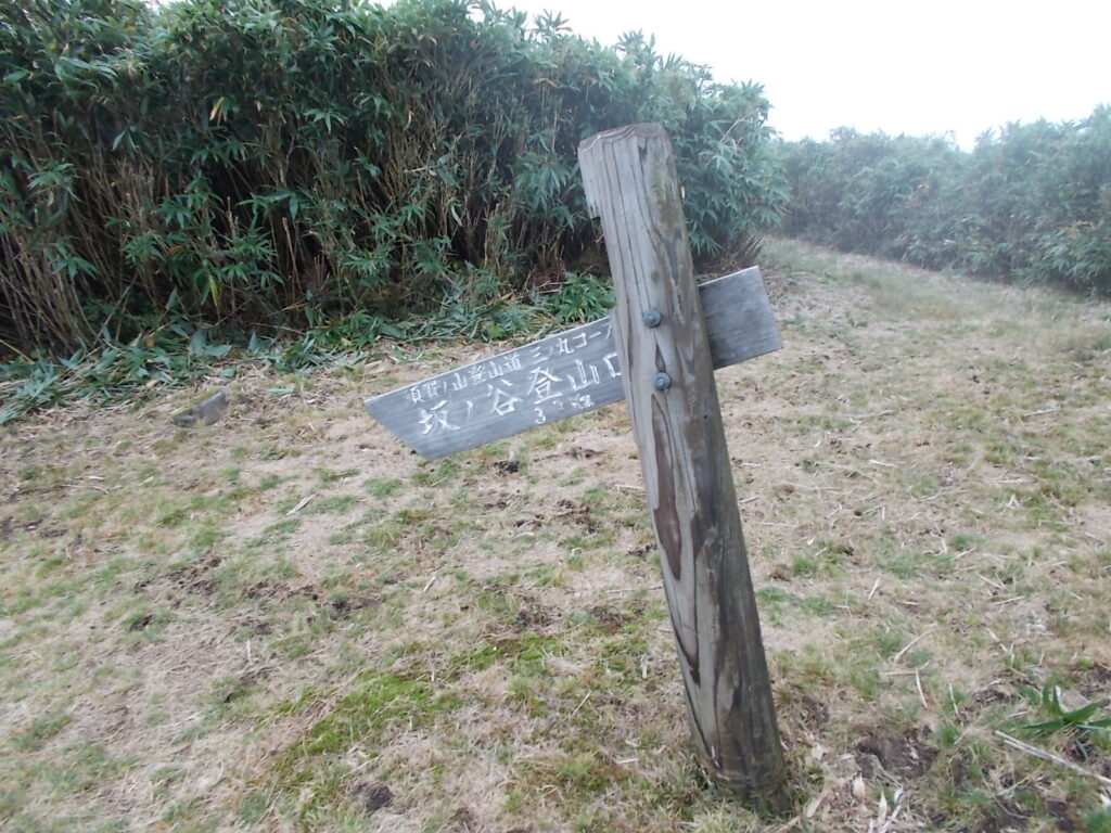 13：07　坂の谷への案内柱。