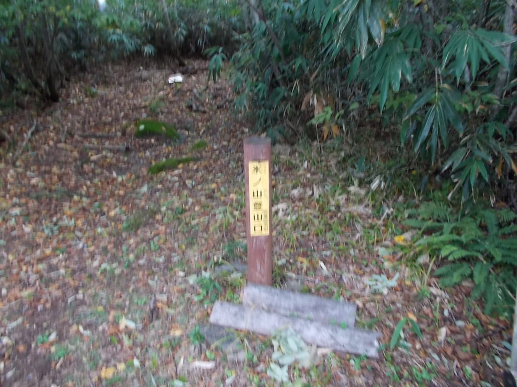 13：33　殿下コースの登山口に着きました。ここでザーッと雨がやってきました。