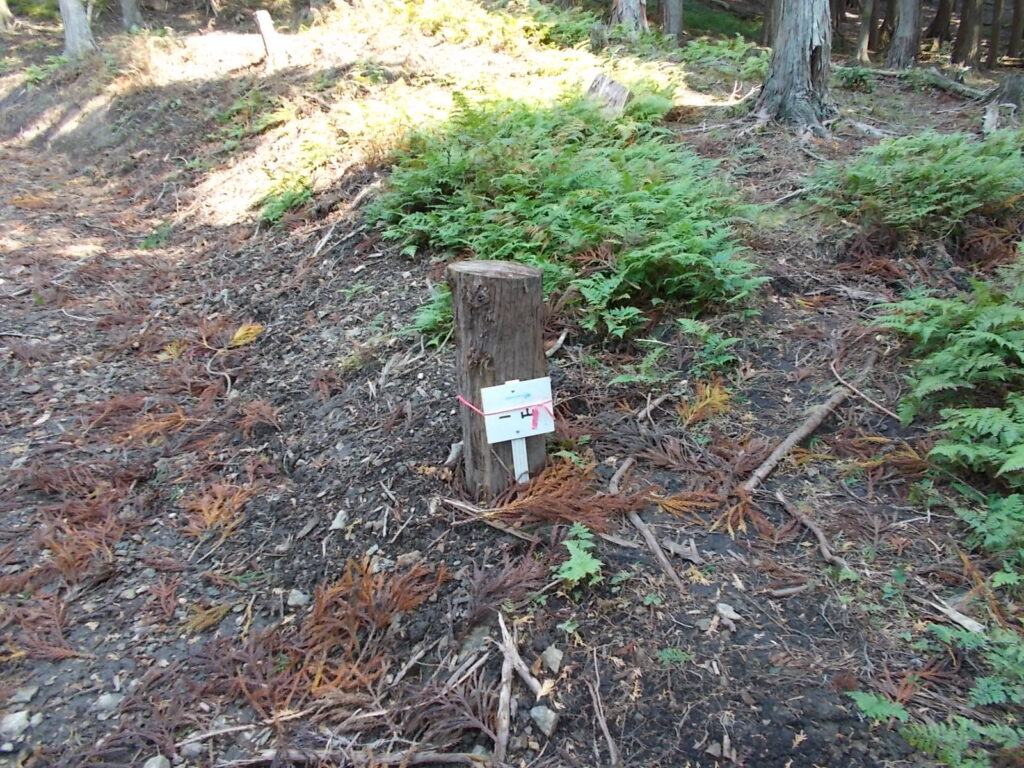 11：05　林道に入ってすぐ右側に登山道があります。