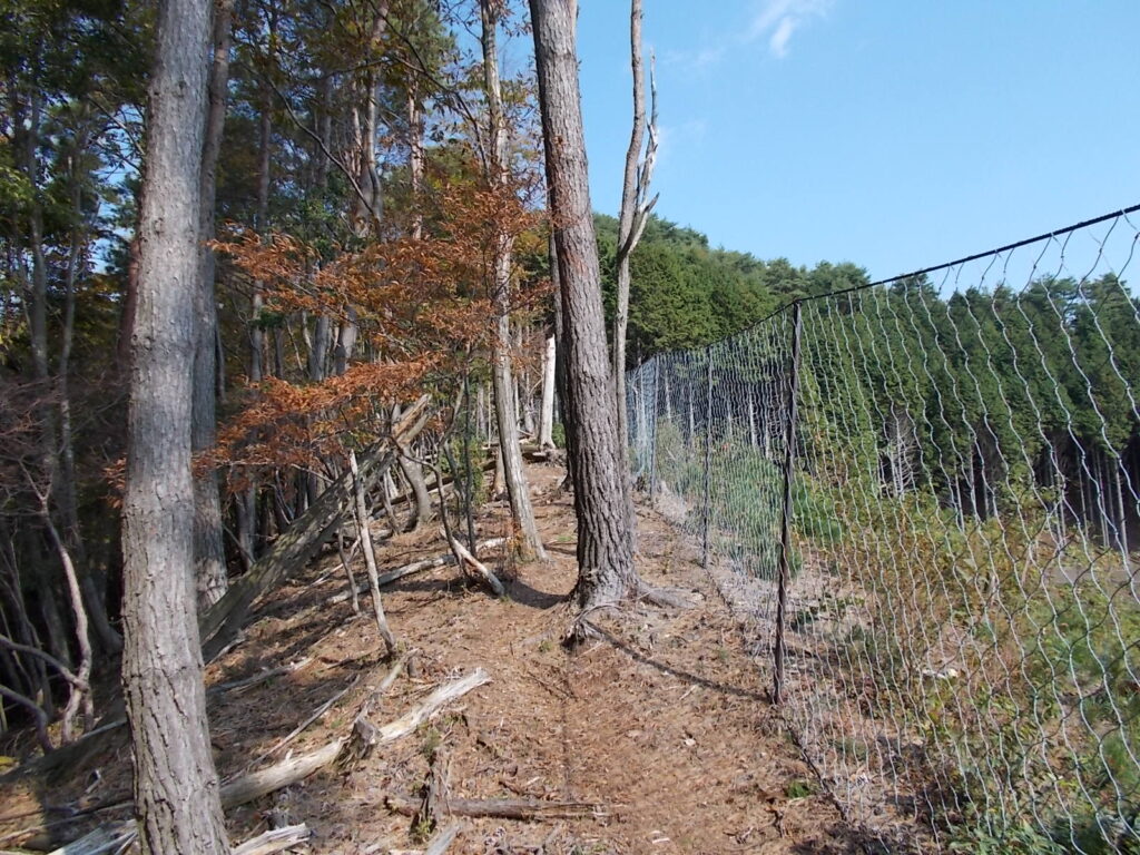 11：11　さらにネット沿いに進みます。