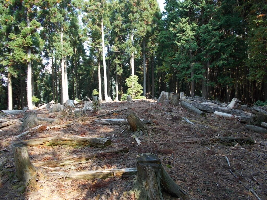 11：16　案内板からの急登を登り切ったところが、895.4ｍの三角点のあるピーク。見晴らしが悪いのですぐに前へ。