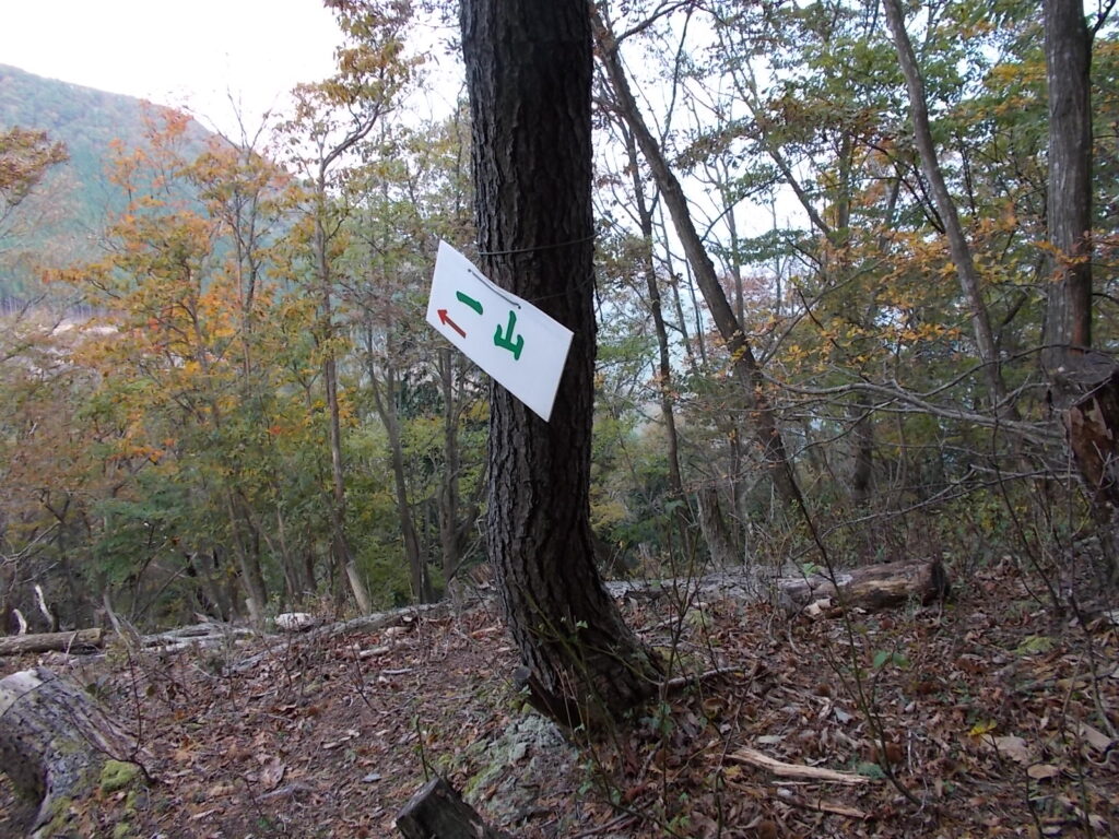 11：26　しばらく登ったり下りたりを繰り返すと一山への案内板があります。確かに山頂は左上の方なんでわかりやすいったらわかりやすいんですが、ここからはいったん下ります。