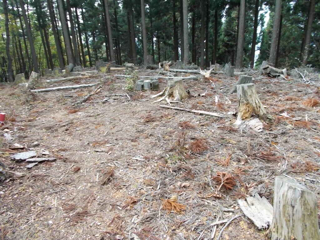 12：31　895.4ｍのピークに戻ってきました。