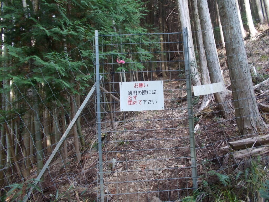 10：22　獣柵を開けて入ります。