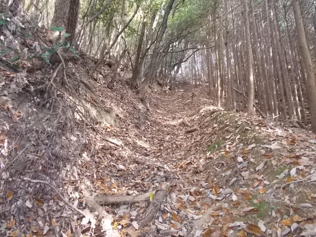 10：28　登山道の様子