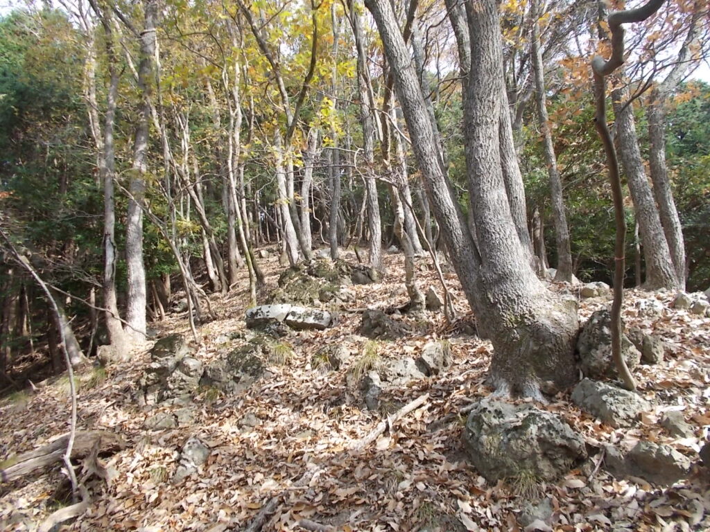 10：52　明るい尾根筋