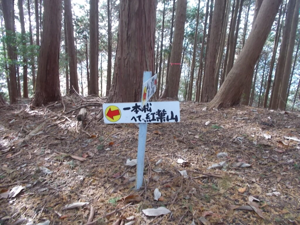 11：06　さっきの案内板に戻って