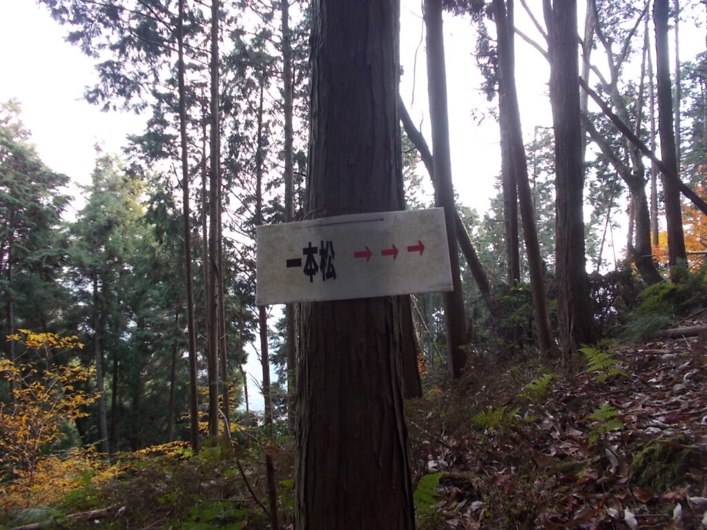 11：12　一本松への案内