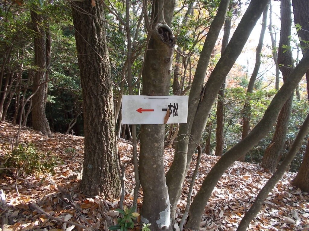 11：42　一本松への案内