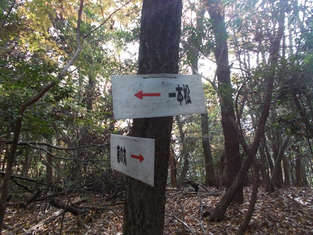 11：54　さらに一本松への案内