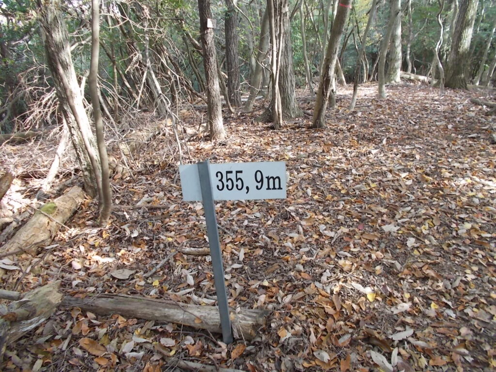 11：55　355.9mのピーク