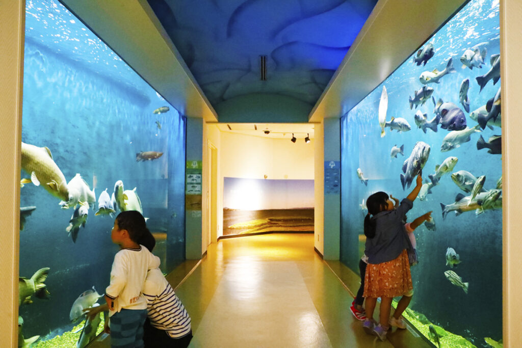 自然館ゴビウス