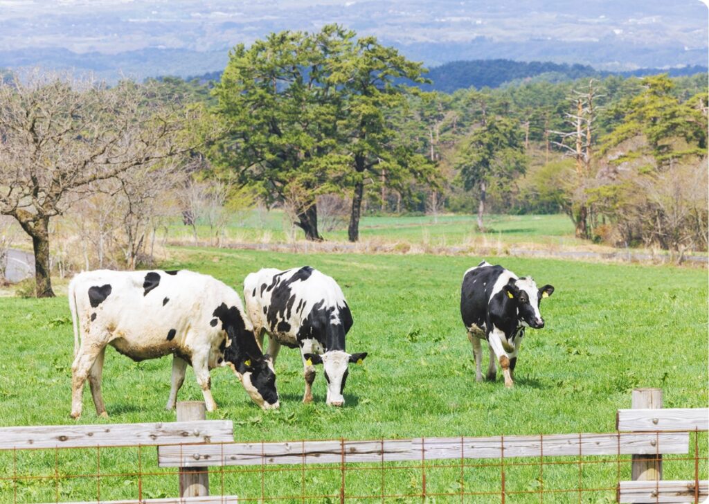 まきばみるくの里