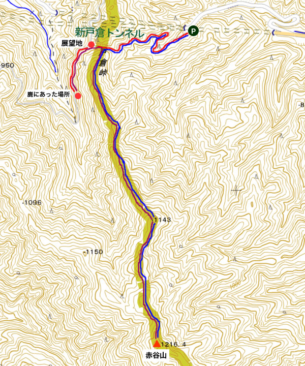 赤谷山（あかたにやま）