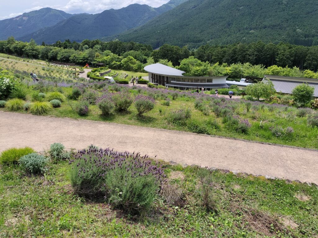 ラベンダーパーク多可