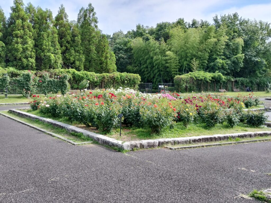 播磨中央公園